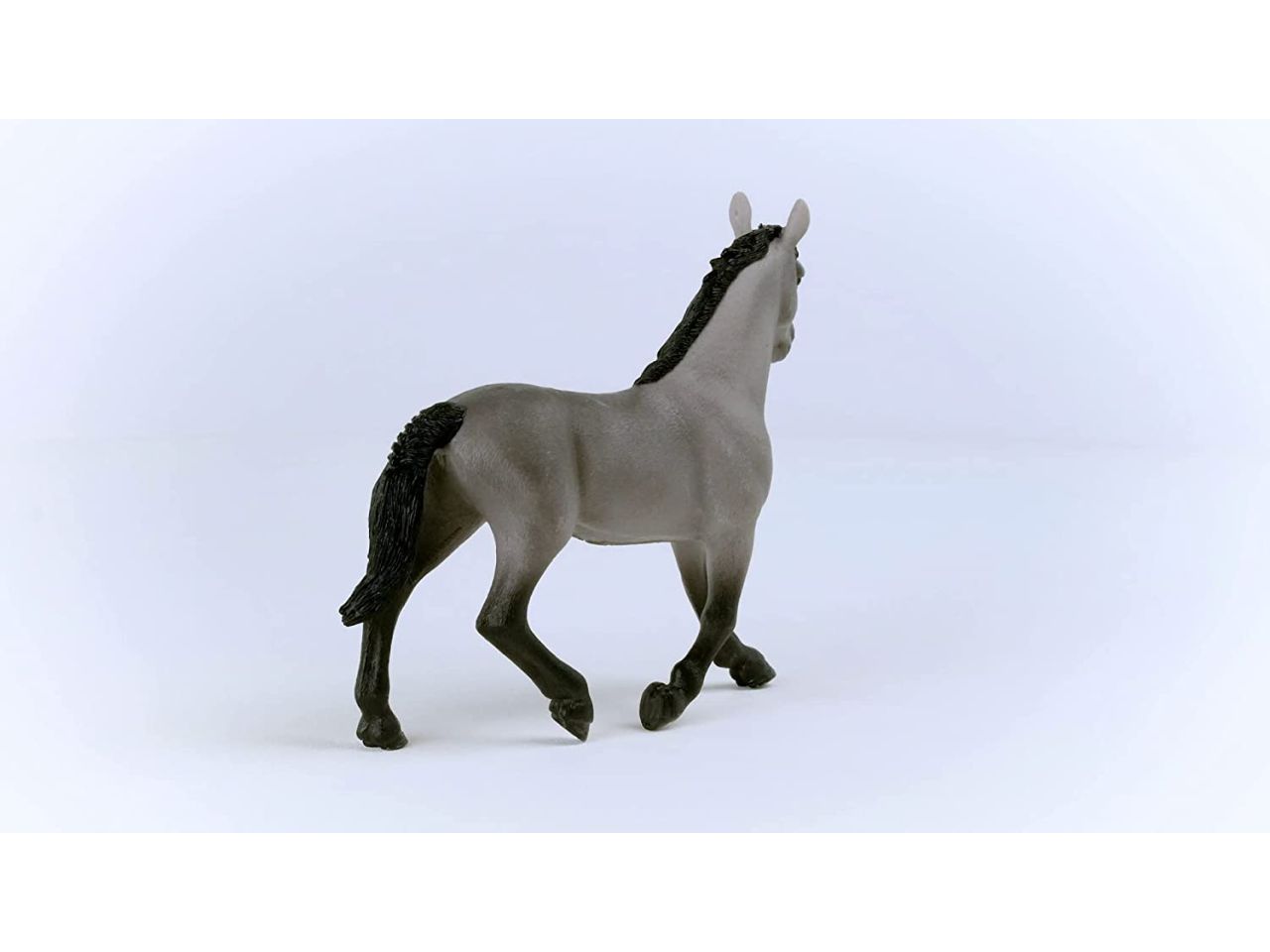 Cavallo da sella francese