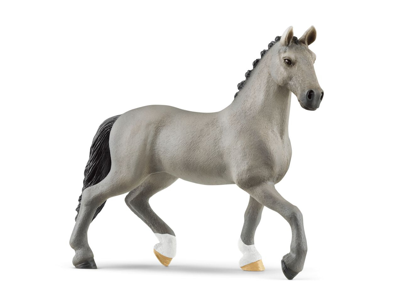 Stallone cheval de selle francais
