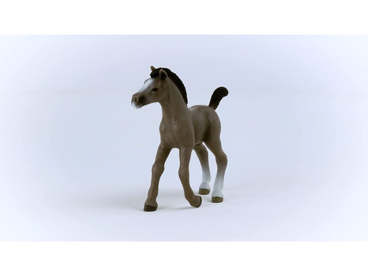 Puledro cheval de selle francais