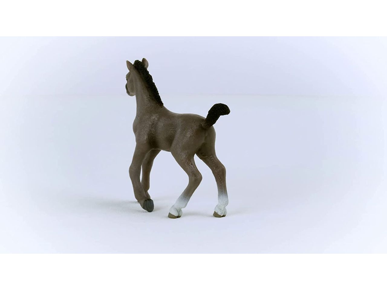 Puledro cheval de selle francais