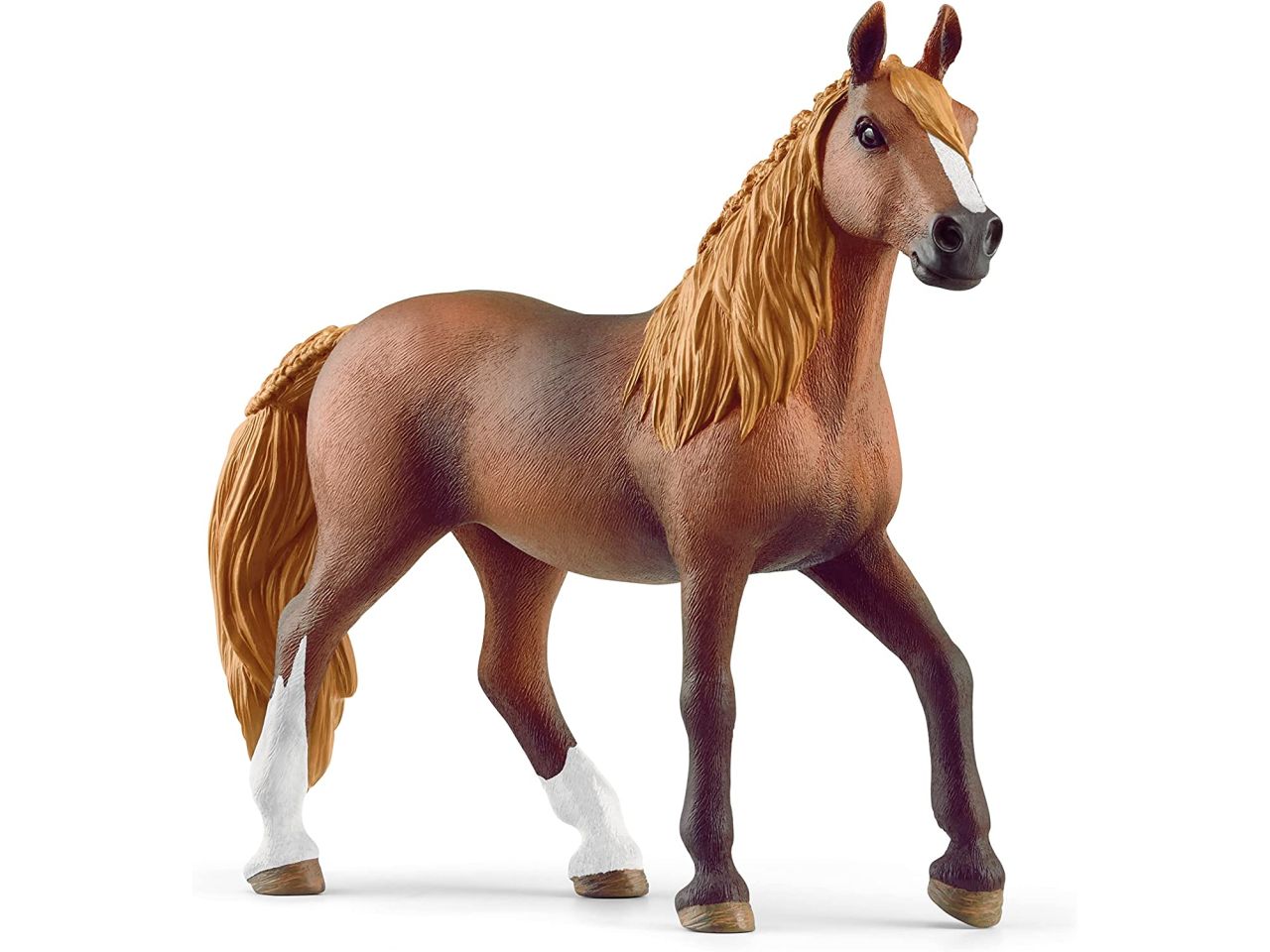 Cavallo paso mare peruviano