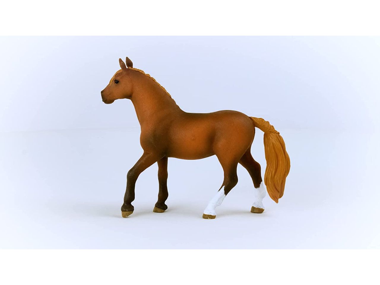 Cavallo paso mare peruviano
