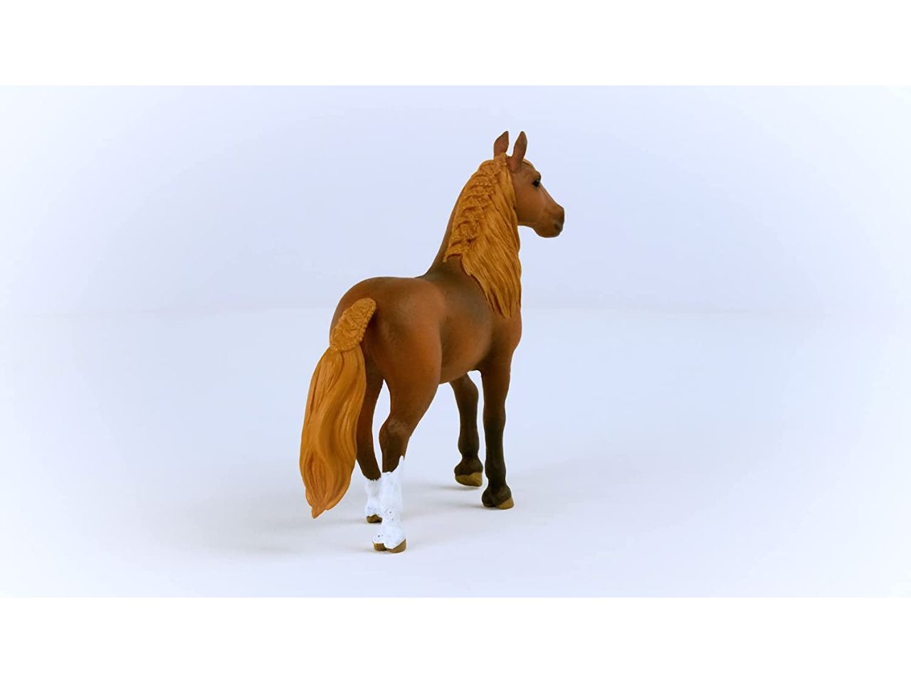 Cavallo paso mare peruviano