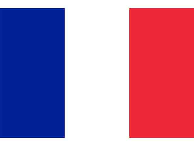 Bandiera 100x140 francia