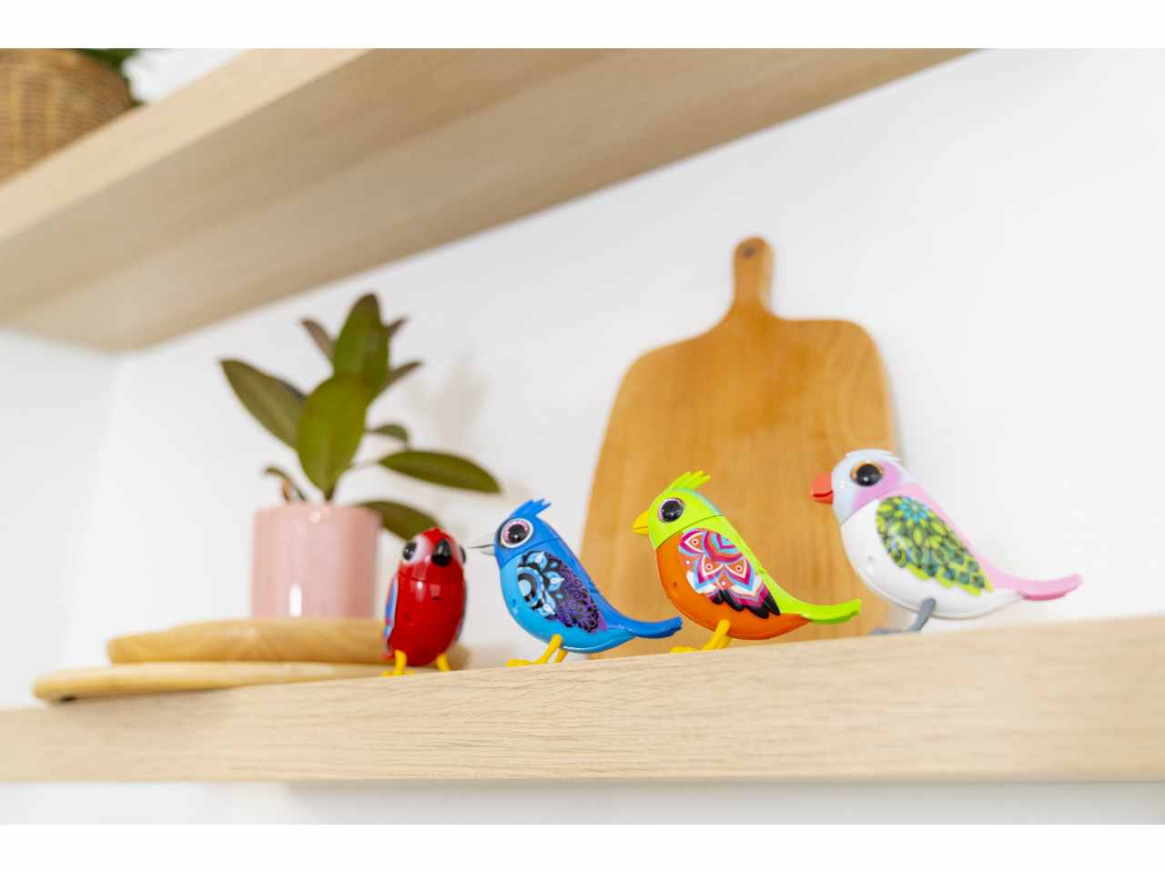 Digibirds single pack serie 2 assortiti