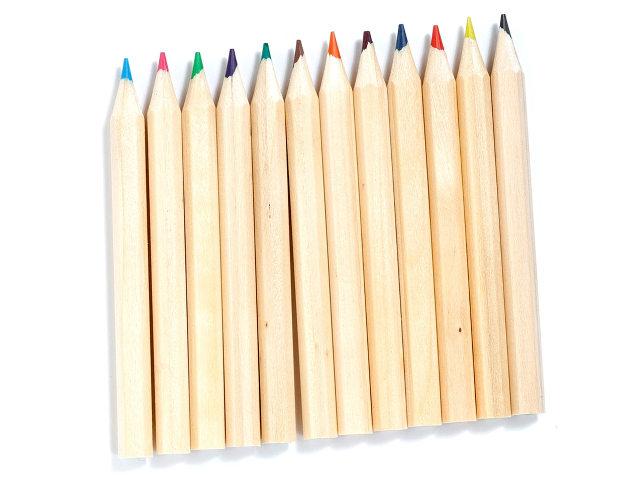 Tubo con 12 matite colorate con dinosauri legno e cartoncino nero - Puckator