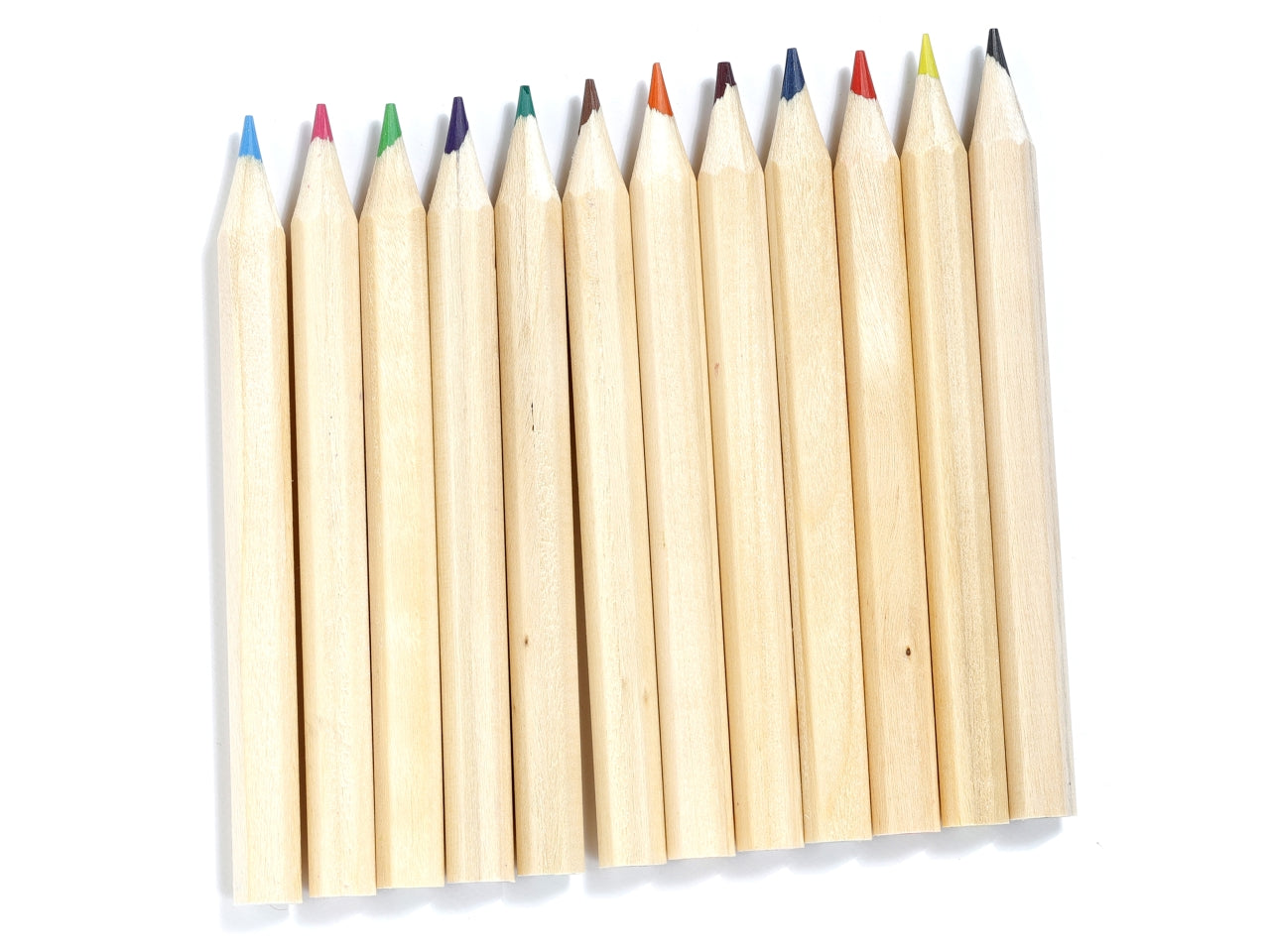 Tubo con 12 matite colorate con animali legno e cartoncino viola e verde - Puckator