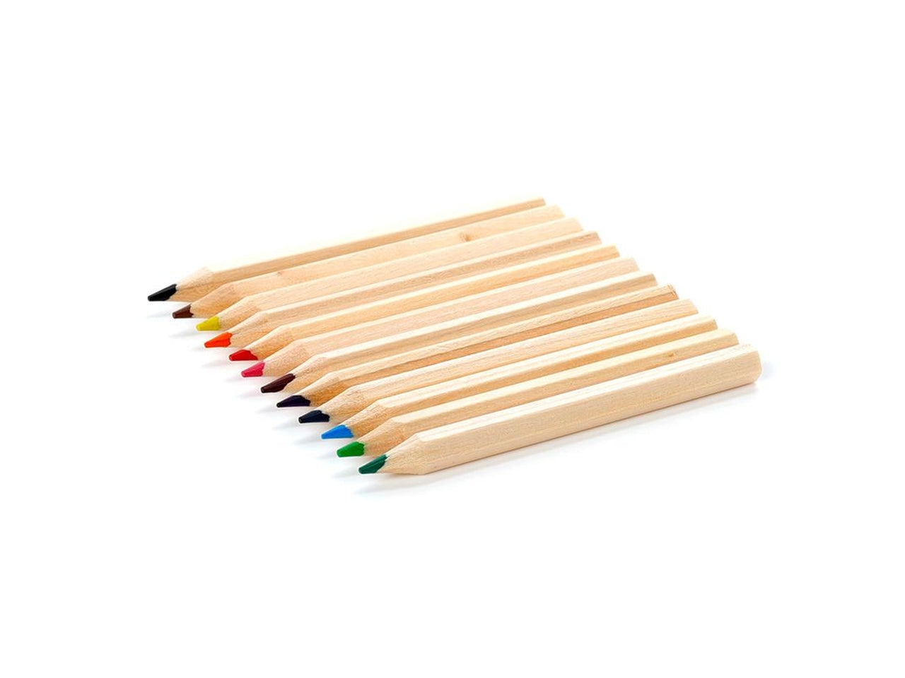 Tubo con 12 matite colorate pinguino legno e cartoncino nero - Puckator
