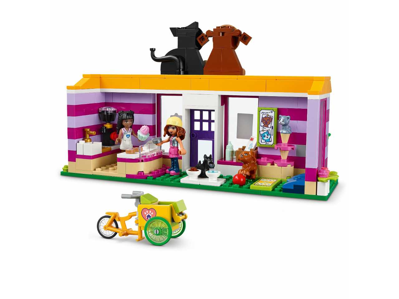 Lego il caffè di adozione dei cuccioli.