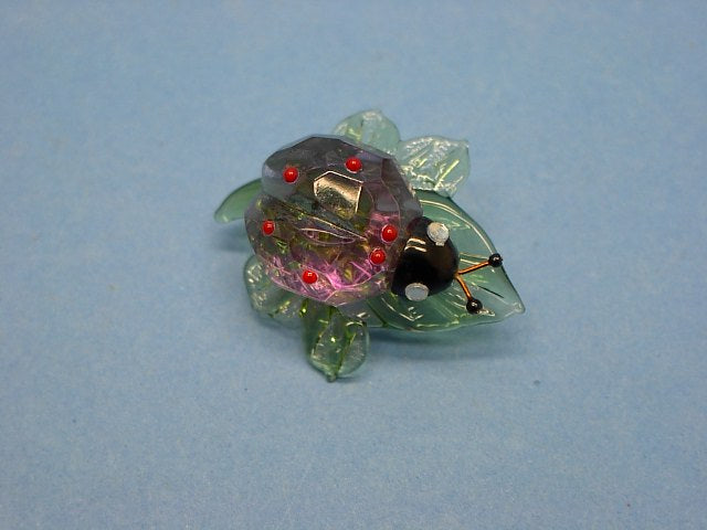 Coccinella linea fortuna lilla c03
