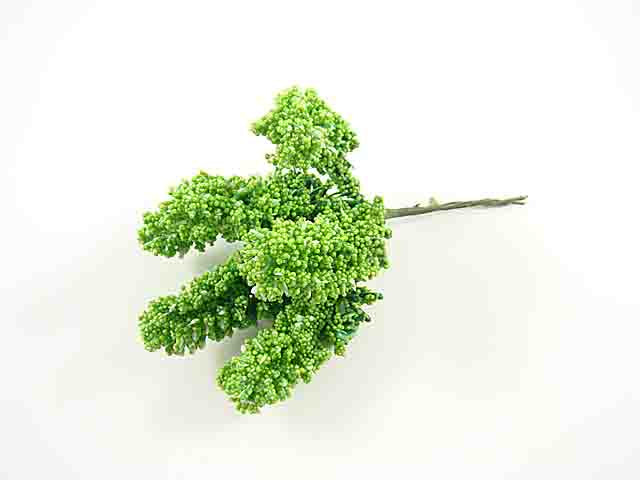 Nebbiolina verde 6 pezzi fg1200/05ver