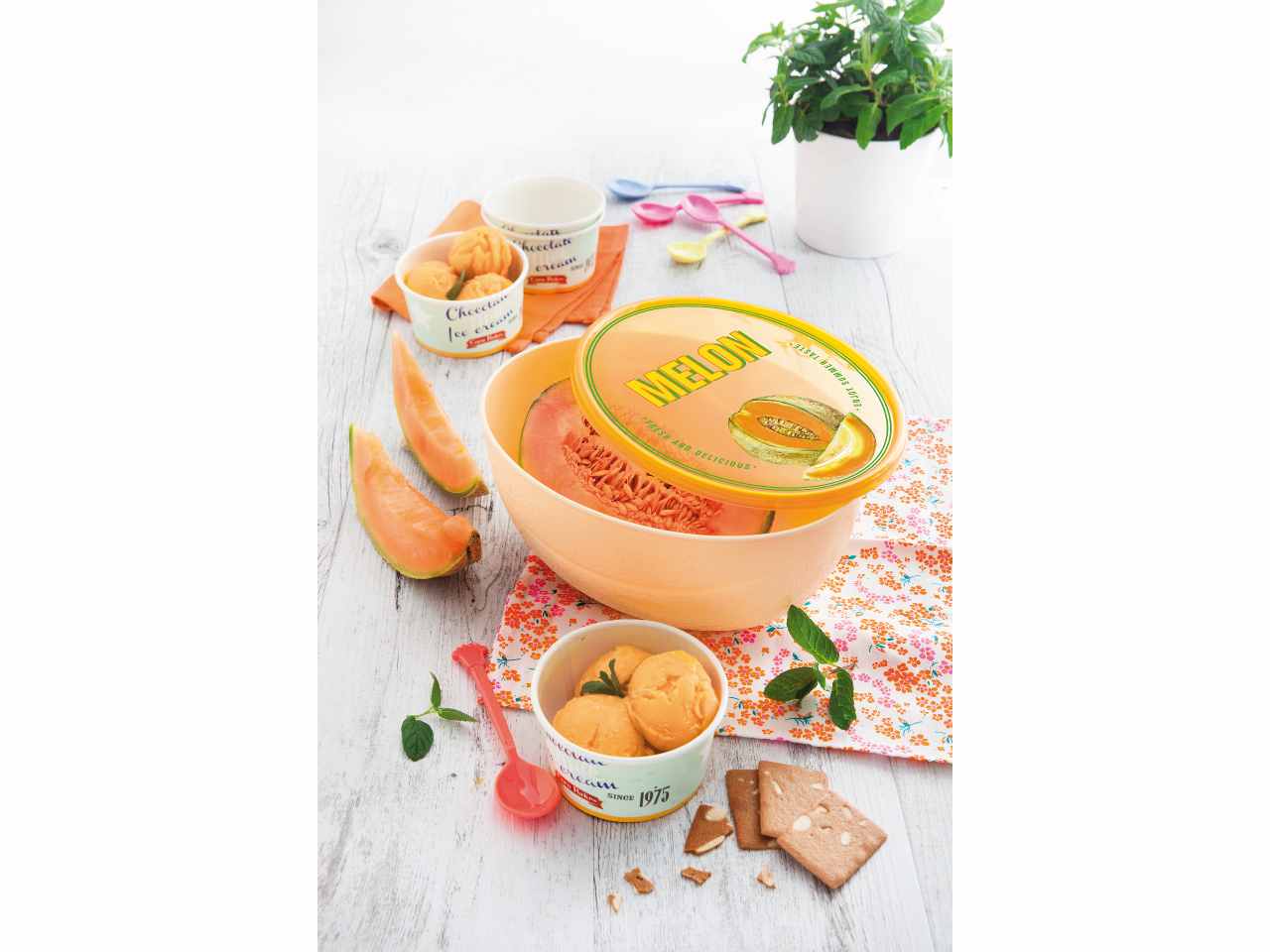 Contenitore salvamelone 077138