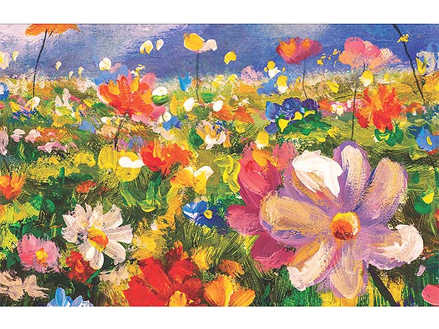 Tappeto wonder 50x230paint 001i01605006