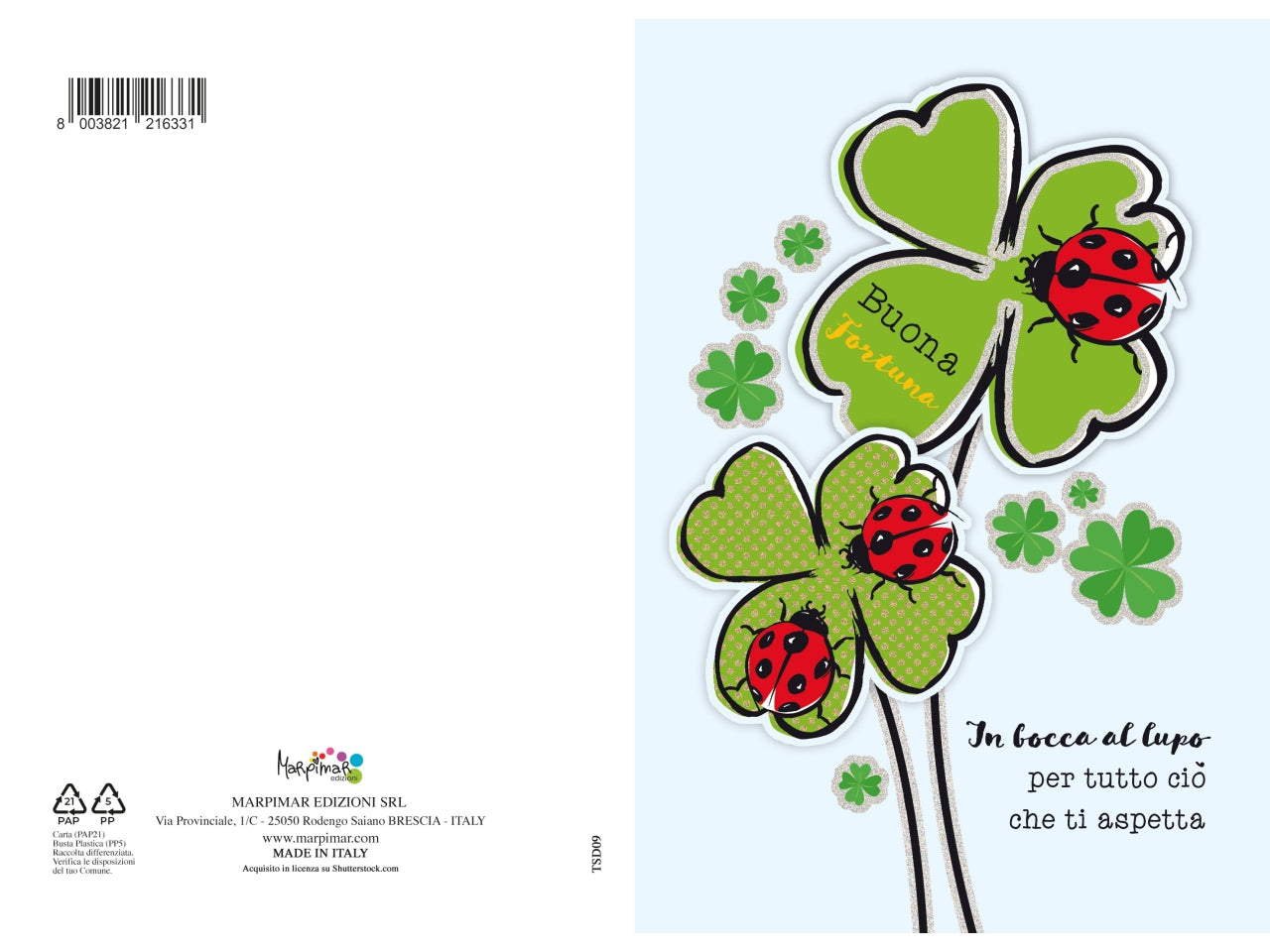 Biglietto compleanno special con applicazioni + foil