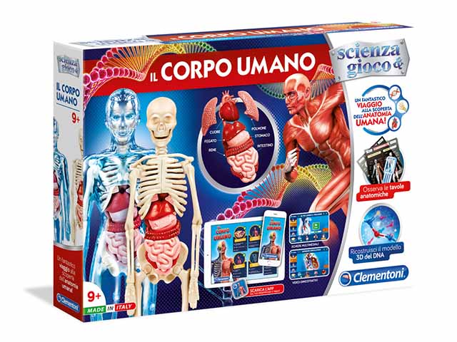 Scienzagioco il corpo umano 13964 /