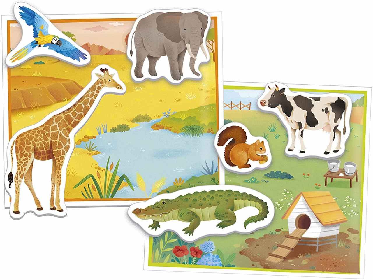 Montessori  gli animali 16360