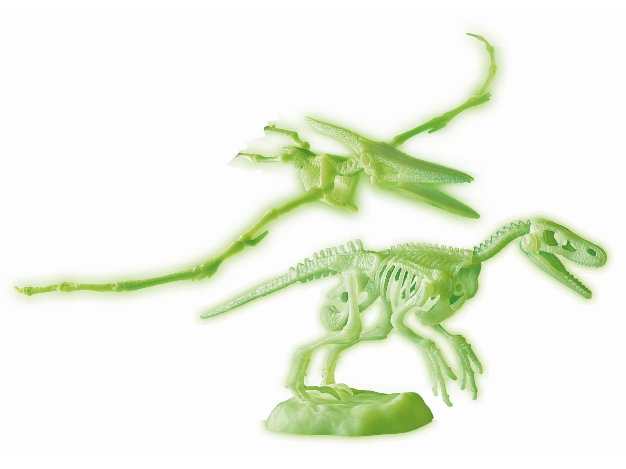 Scienza&gioco lab pteranodonte e velociraptor