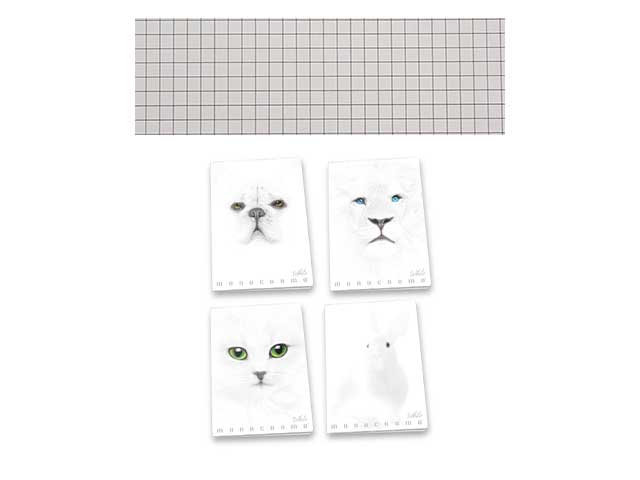 Quaderno maxi 100gr white 10 pezzi 4m