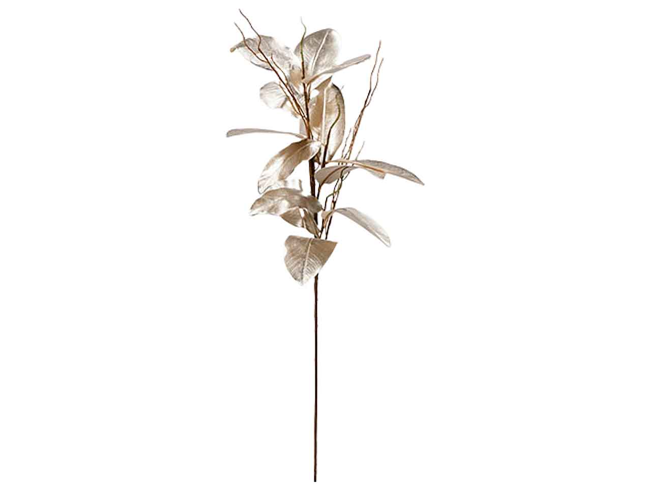 Foglia di magnoglia 84cmchampagne 11508