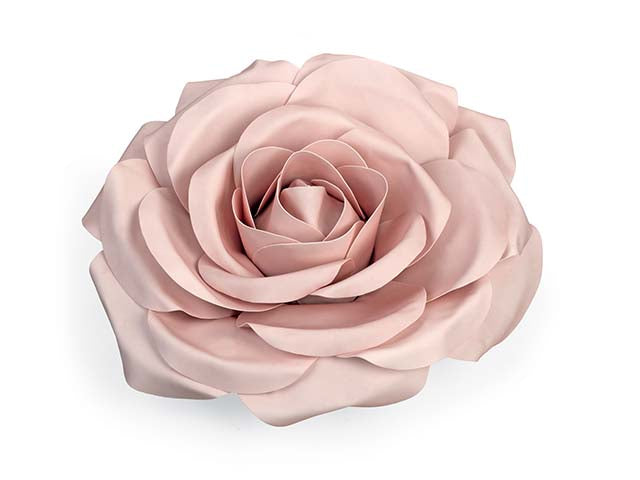 Rosa rosa 28363