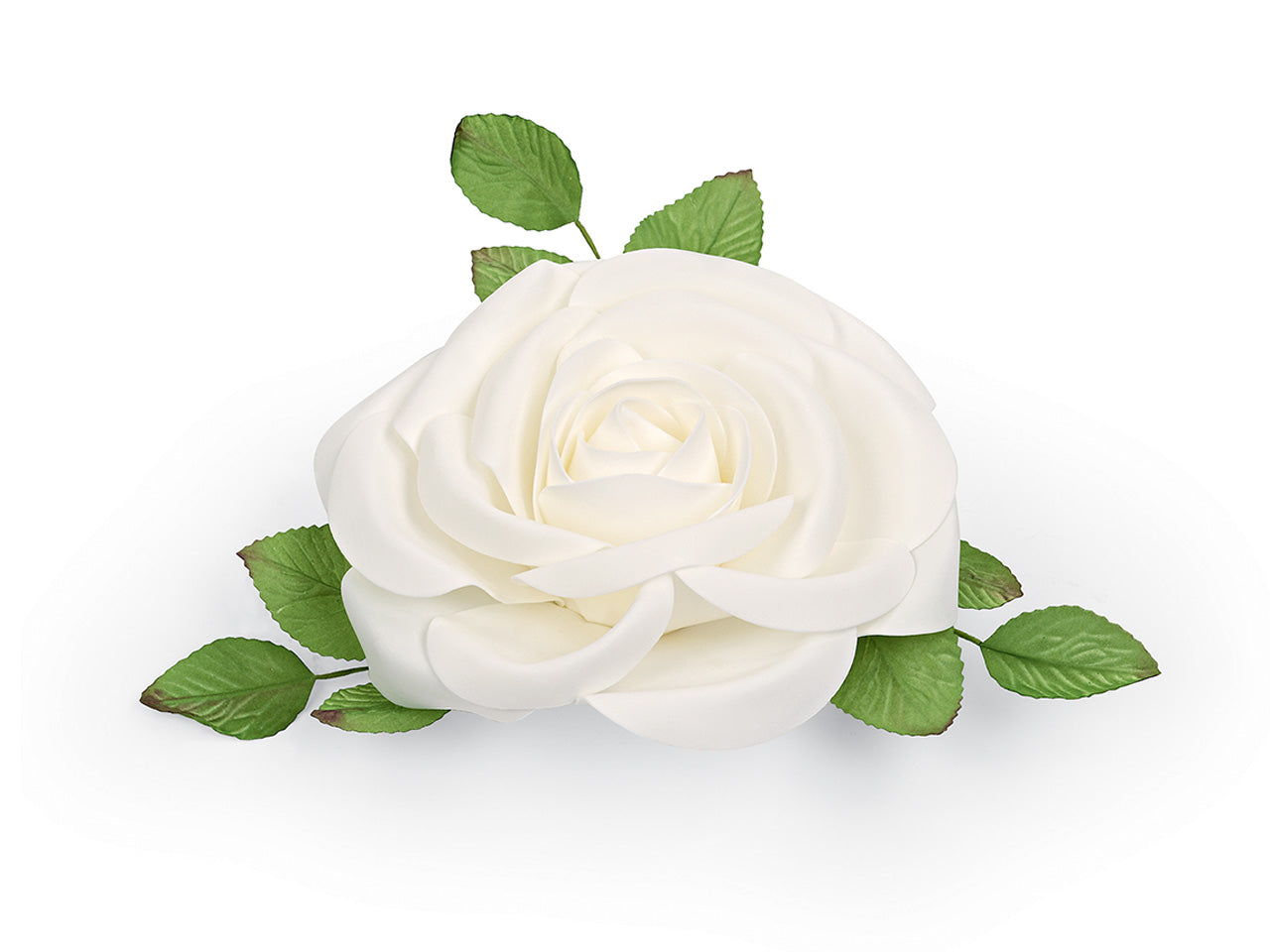 Rosa bianca 29008m