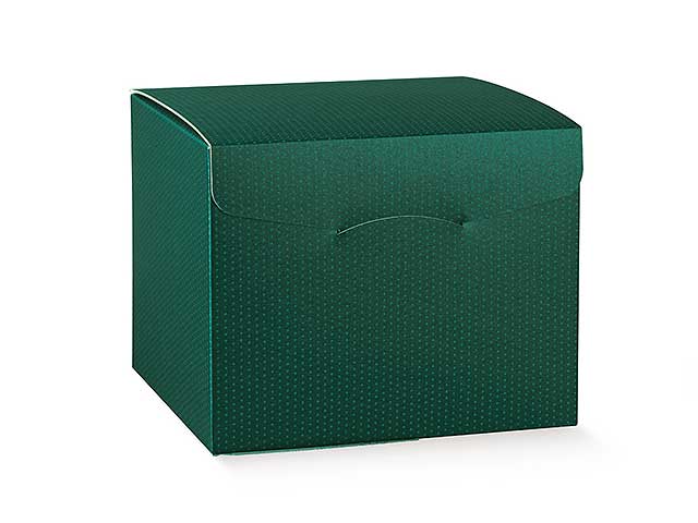Linea spot verde scatola 300x300x240 38731