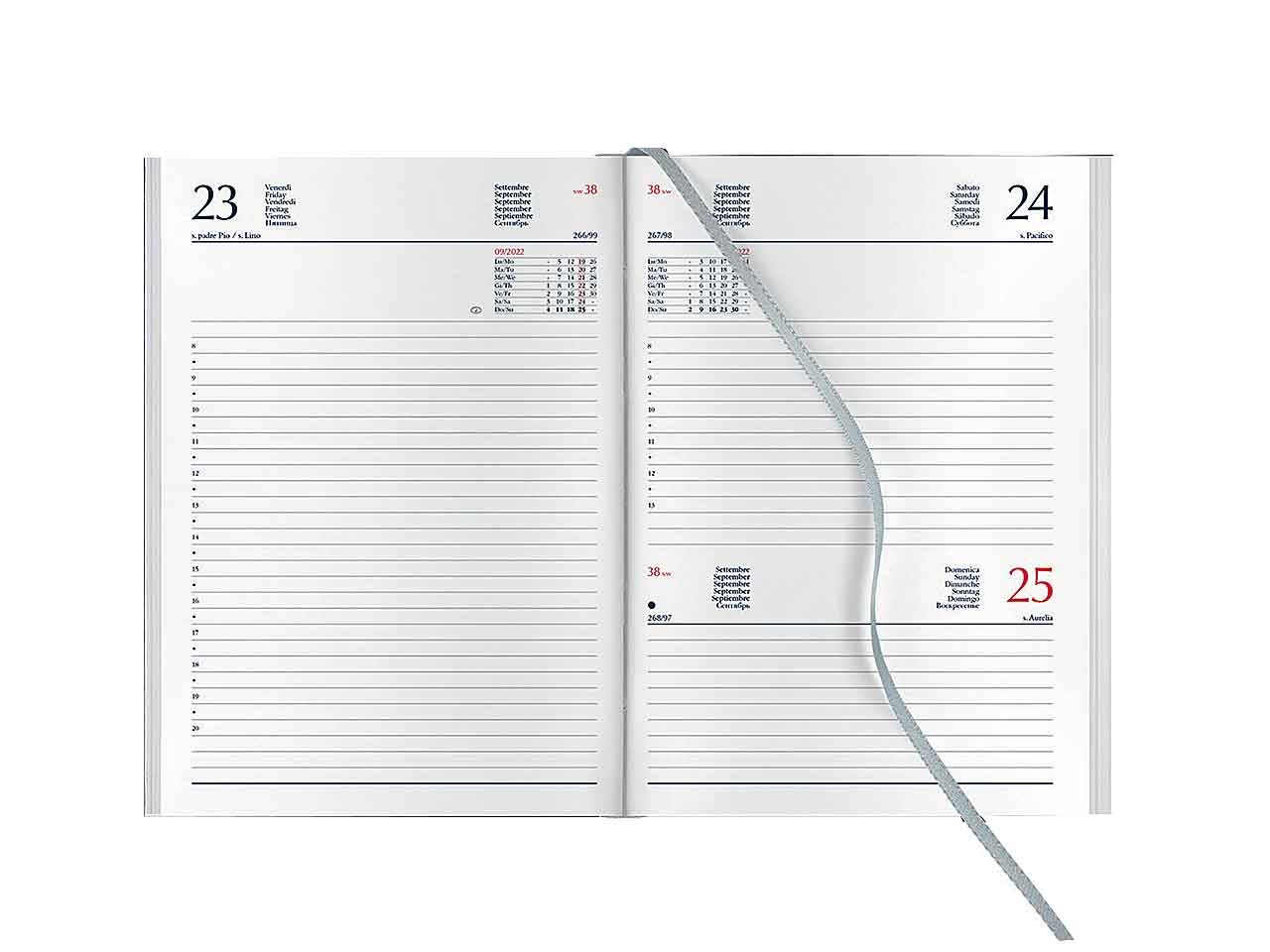 Agenda giornaliera 14.5x20.5 vere