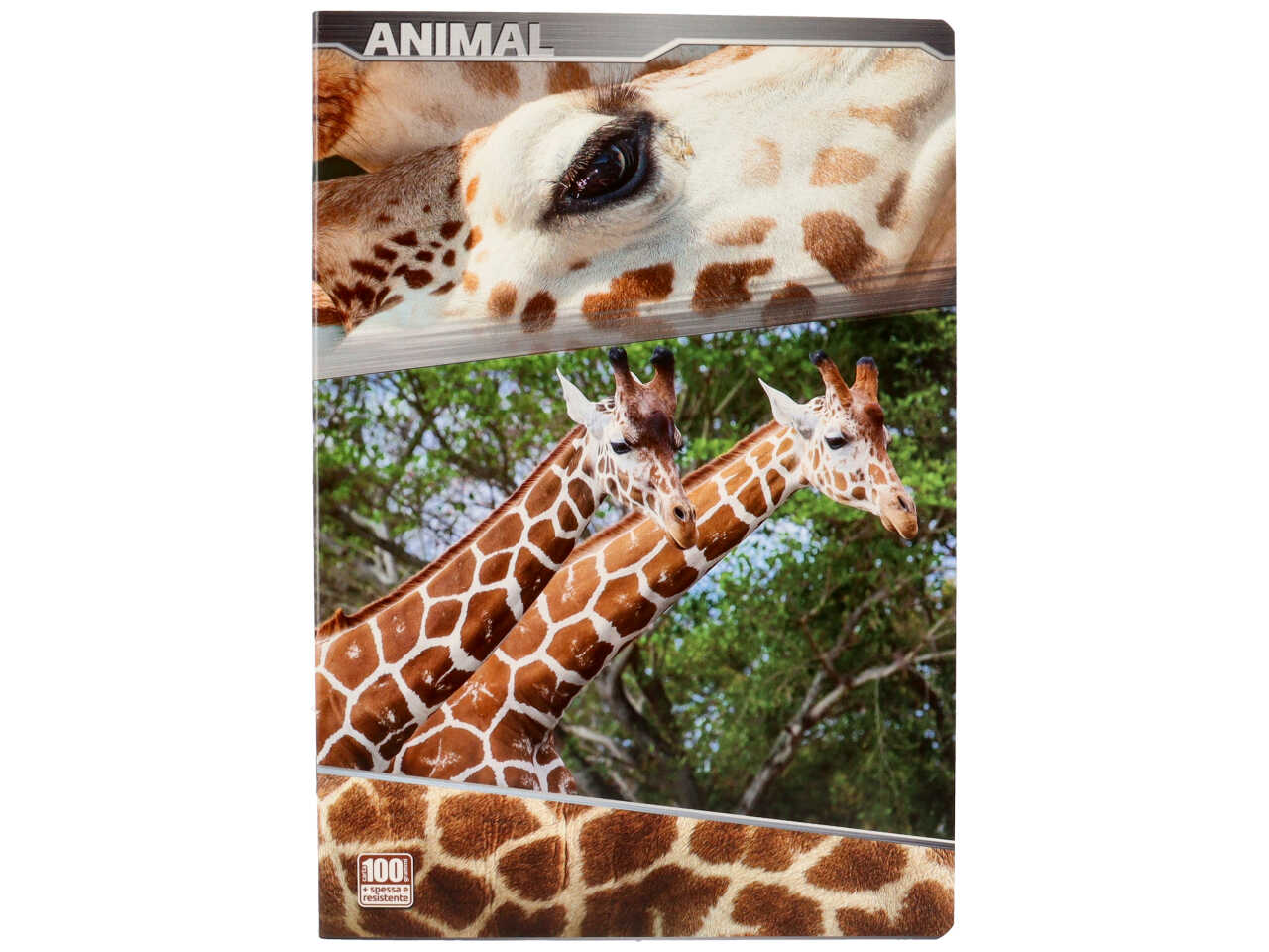 Quaderno maxi 100gr animal rigatura C Fogli 18+1 - la confezione comprende 10 quaderni - assortiti