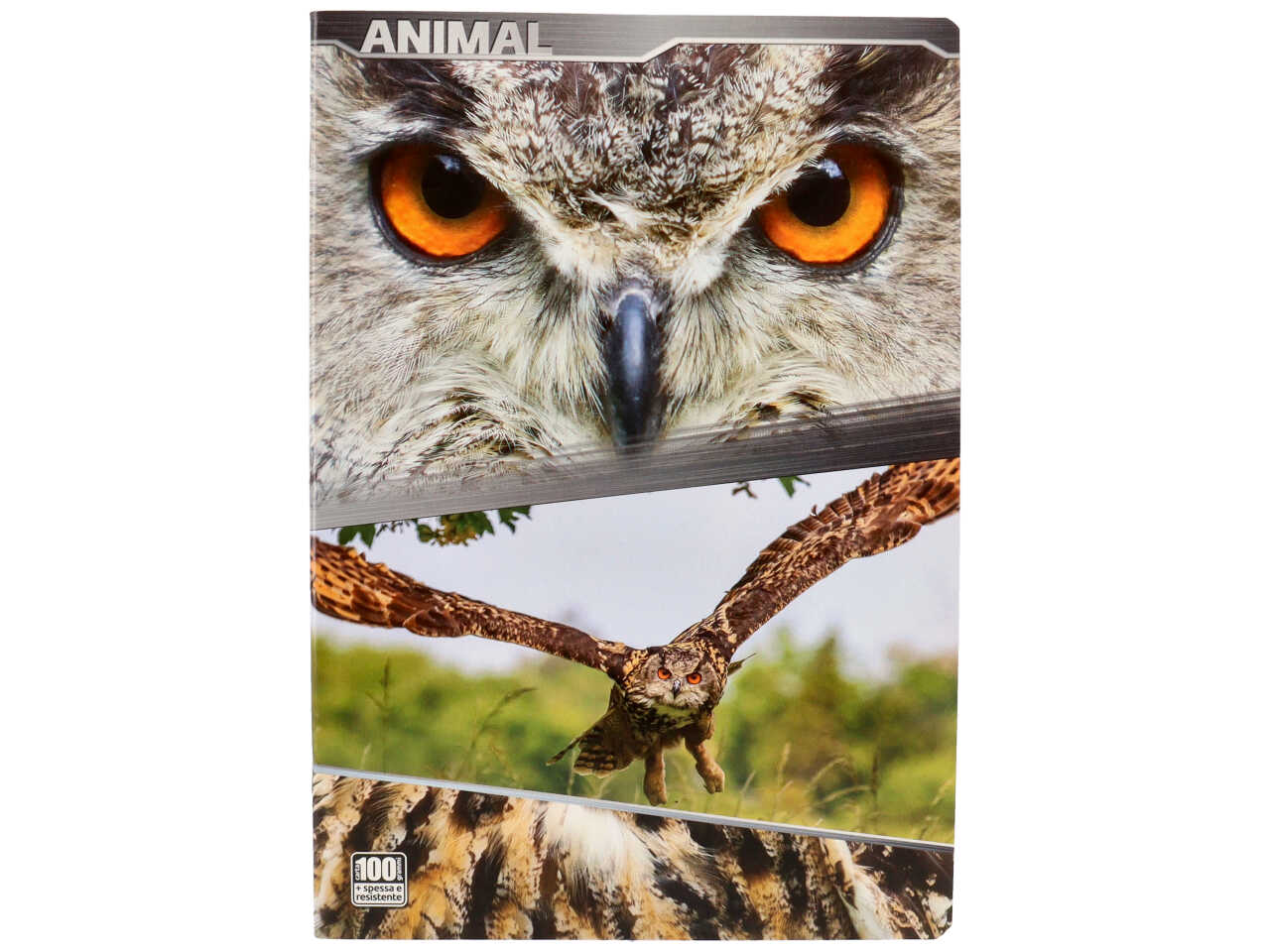 Quaderno maxi 100gr animal rigatura C Fogli 18+1 - la confezione comprende 10 quaderni - assortiti