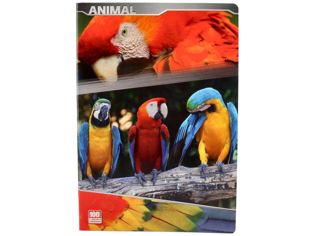 Quaderno maxi 100gr animal rigatura C Fogli 18+1 - la confezione comprende 10 quaderni - assortiti