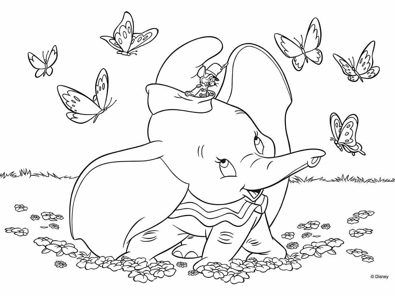 Puzzle df plus 24 dumbo   74020