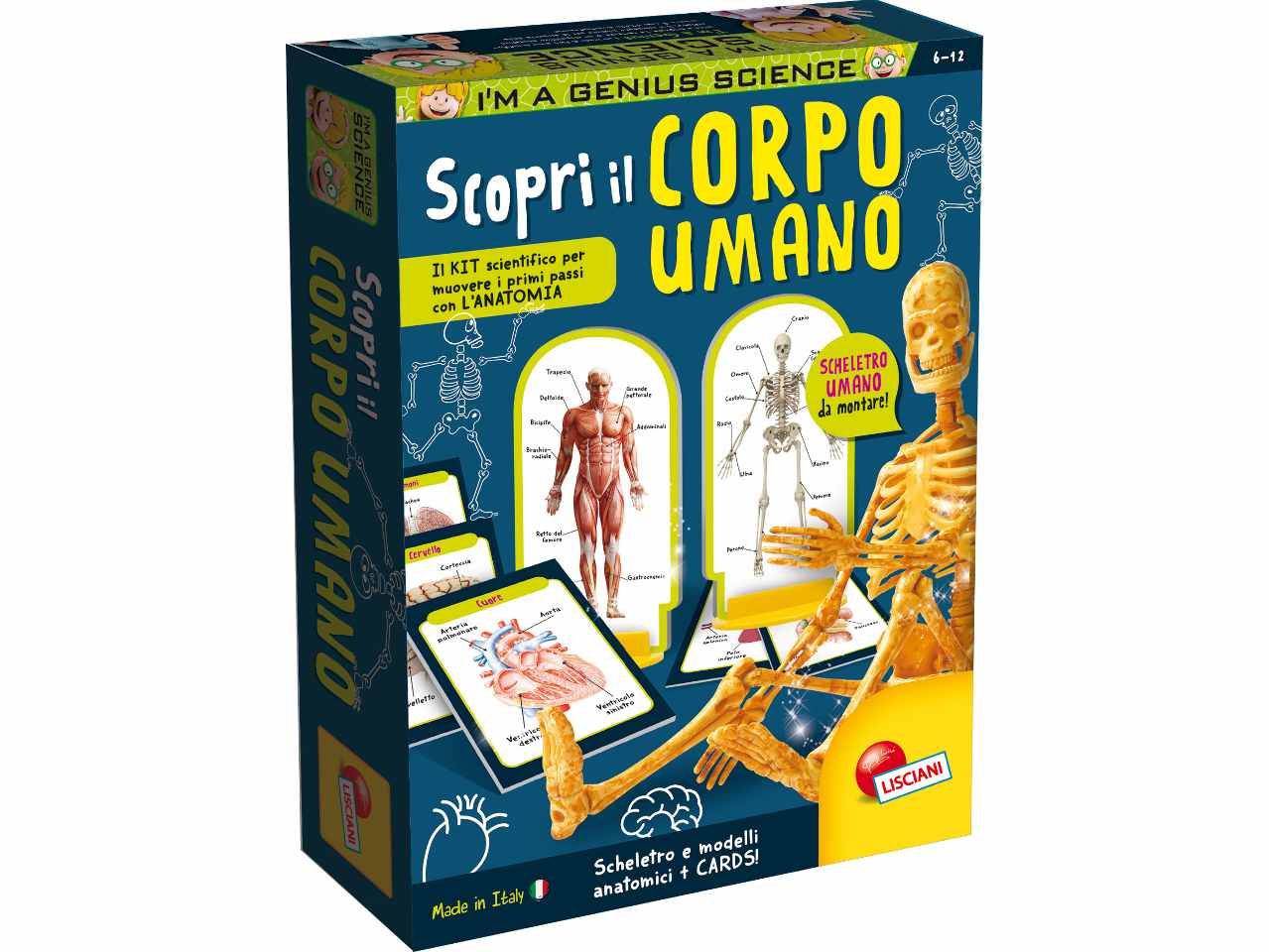 I'm a genius scopri il corpo u.95384