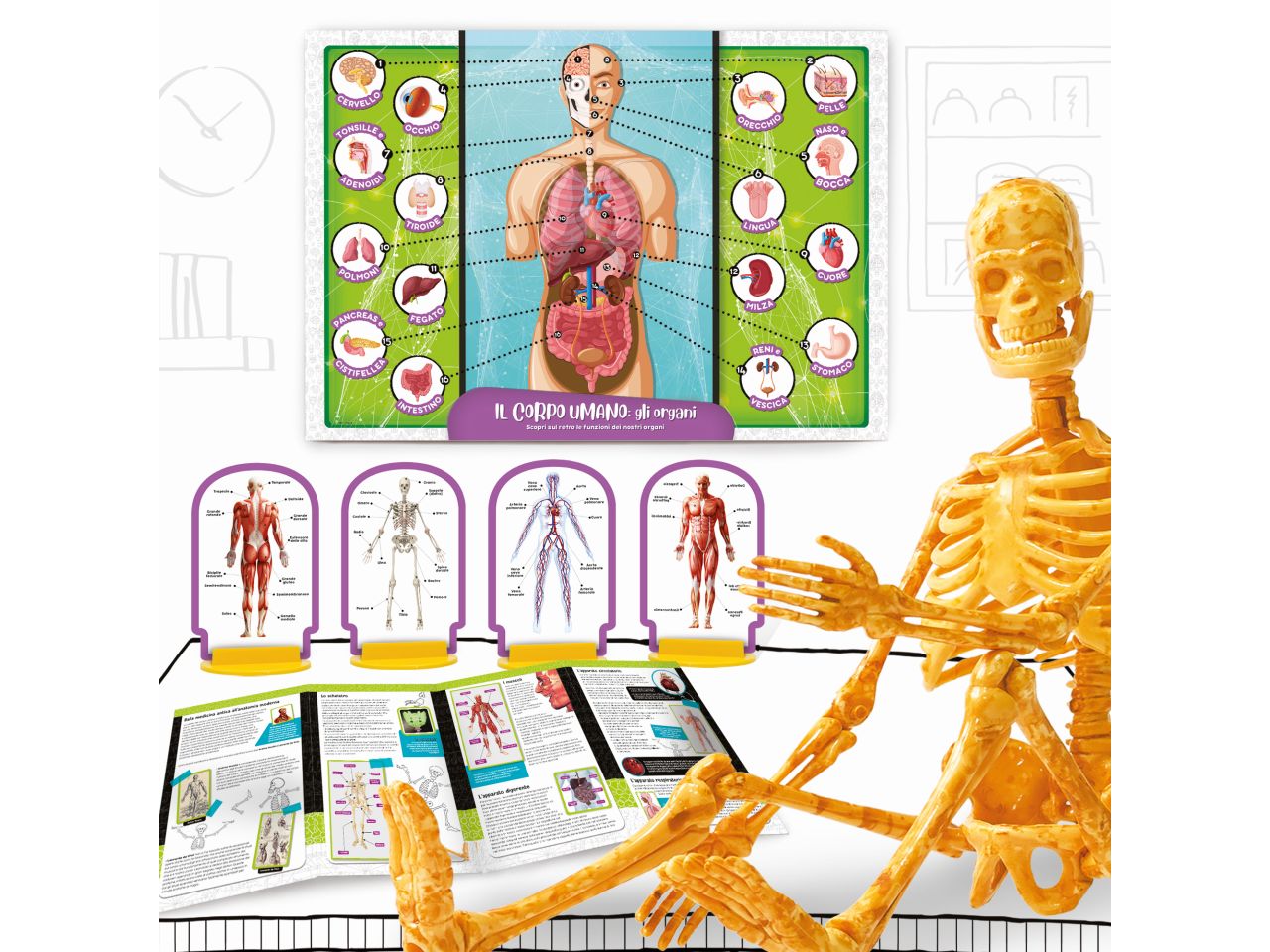 I'm a genius scienza pocket scopri il corpo umano