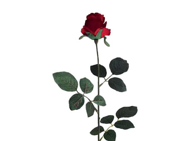 Rosa velvet rossa 1171