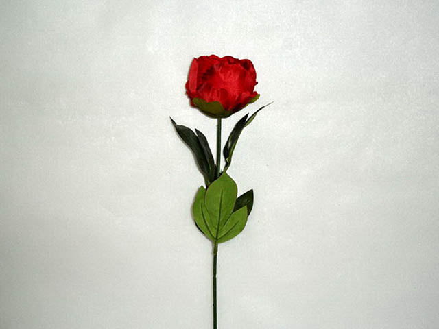 Peonia rossa 8016