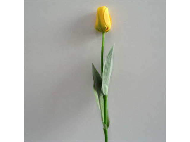 Tulipano giallo 0339