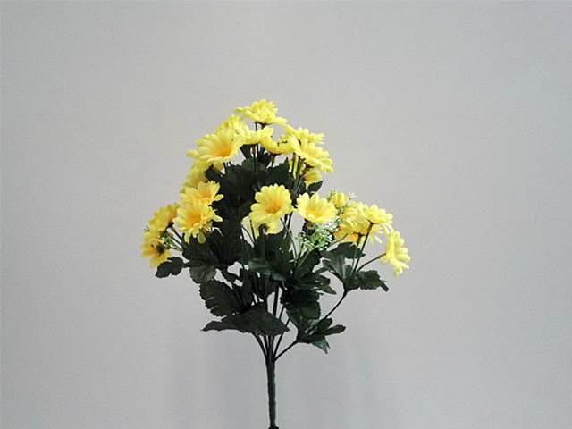 Mazzo margherite gialle 0360