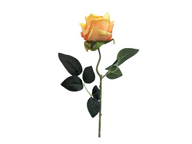 Rosa velvet giallo 6010