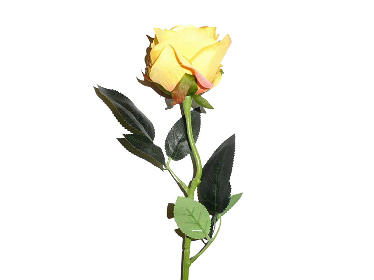 Rosa gialla 9213
