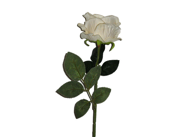 Rosa velvet crema 6010