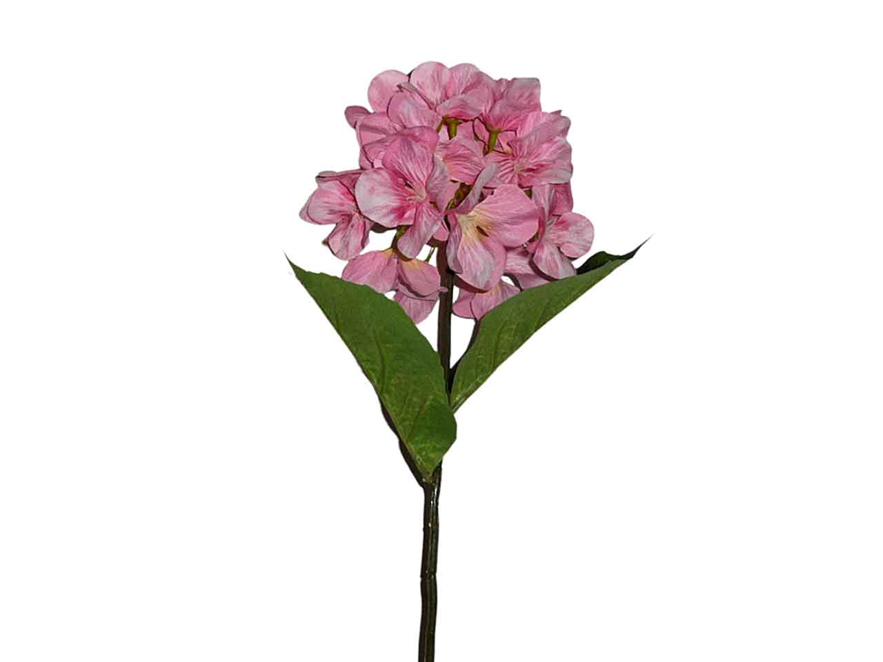 Ortensia rosa 9200