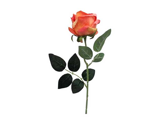 Rosa velvet arancio 6010