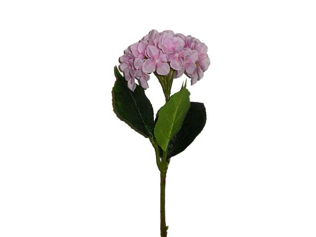 Ortensia lavanda 6012
