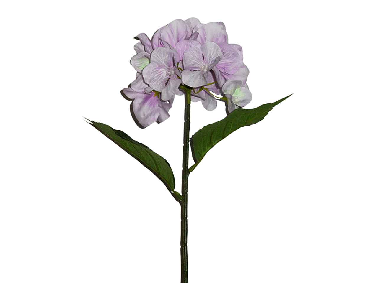 Ortensia lavanda 9200