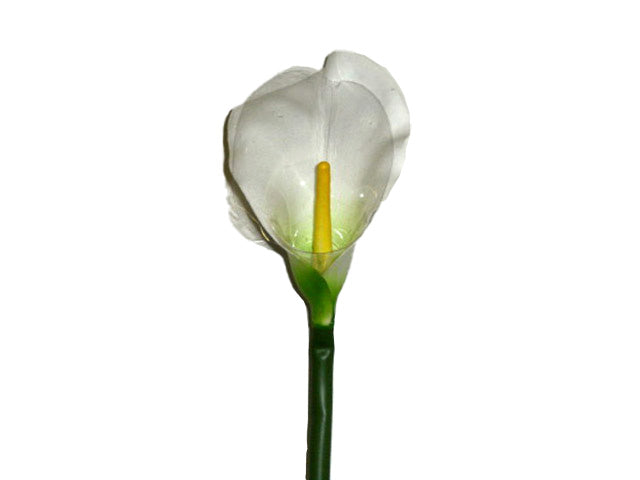 Calla bianca 72cm 1054