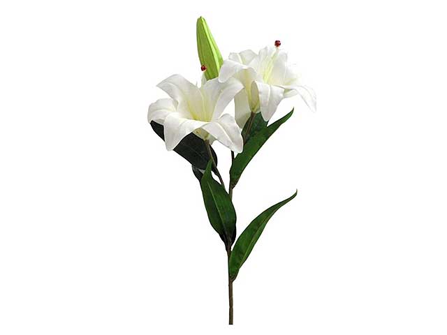 Lilium spray 3 biccioli 6014
