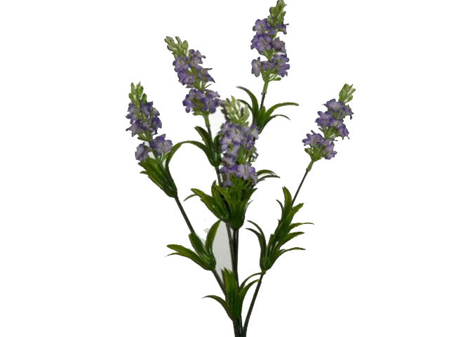 Lavanda ass. 70cm 0453