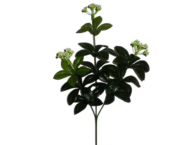 Foglie gipso lauro 1007