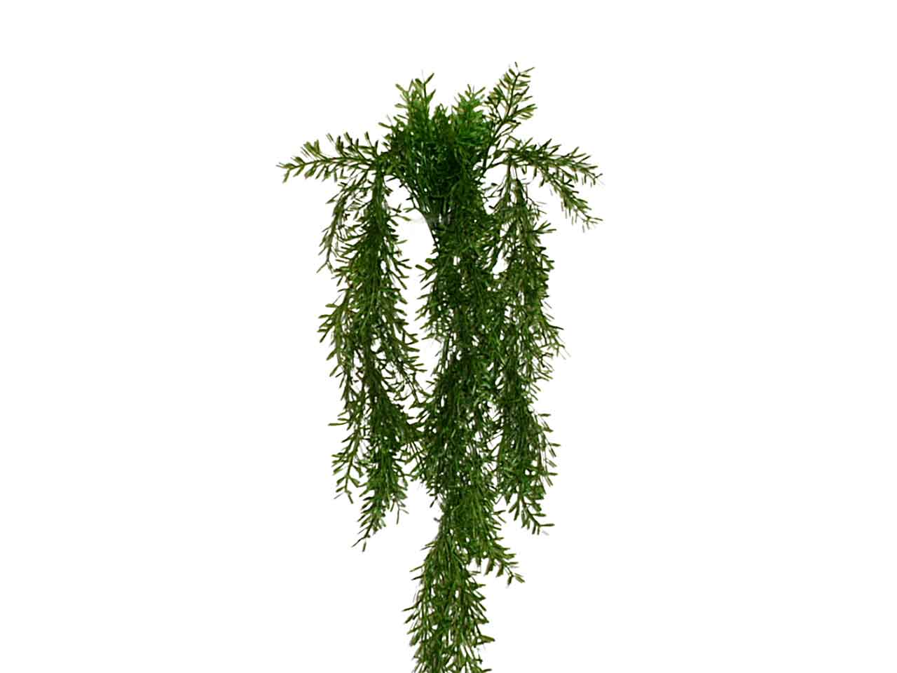 Ramo spingery verde 6017