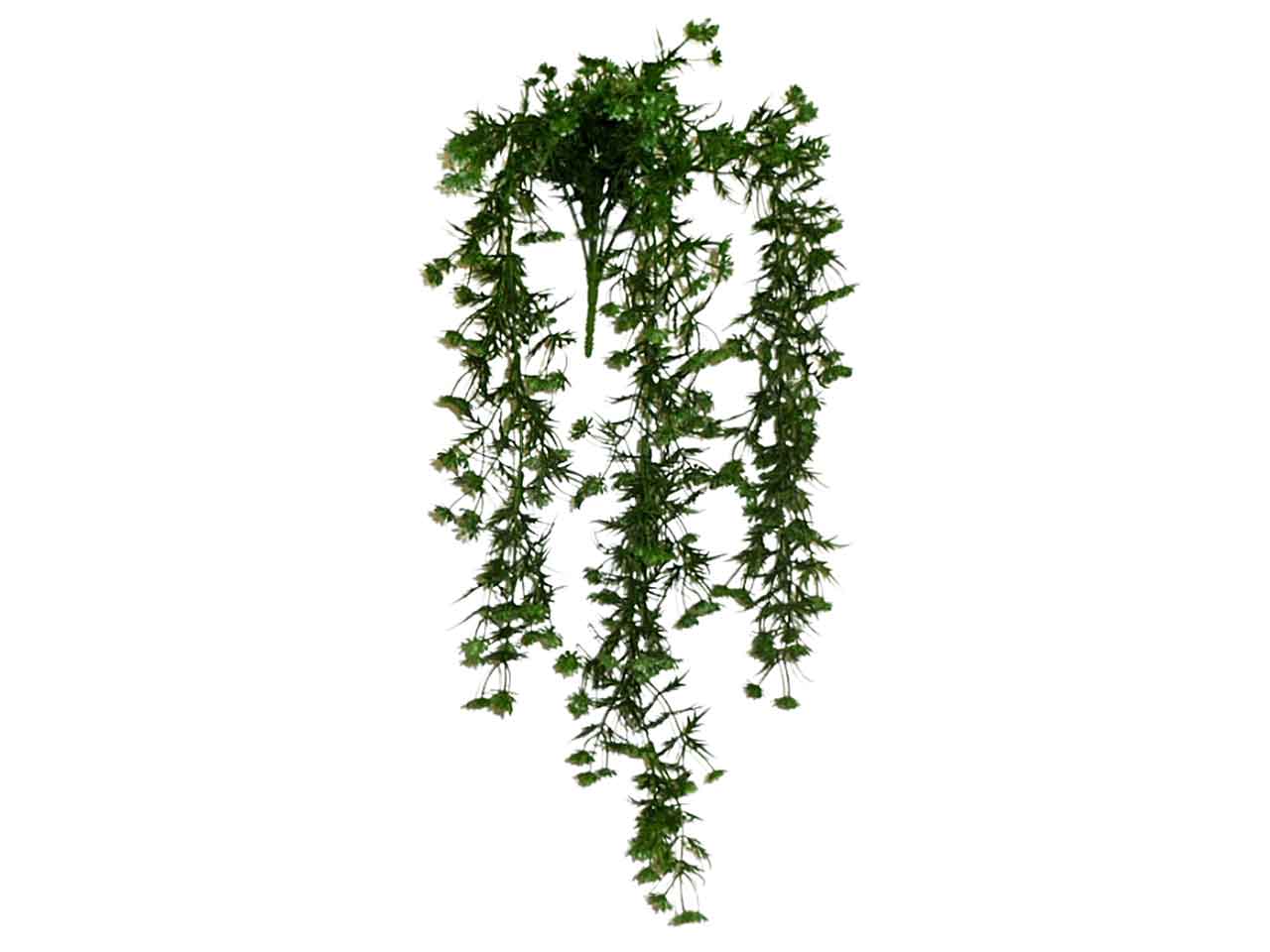 Ramo buxus 6018